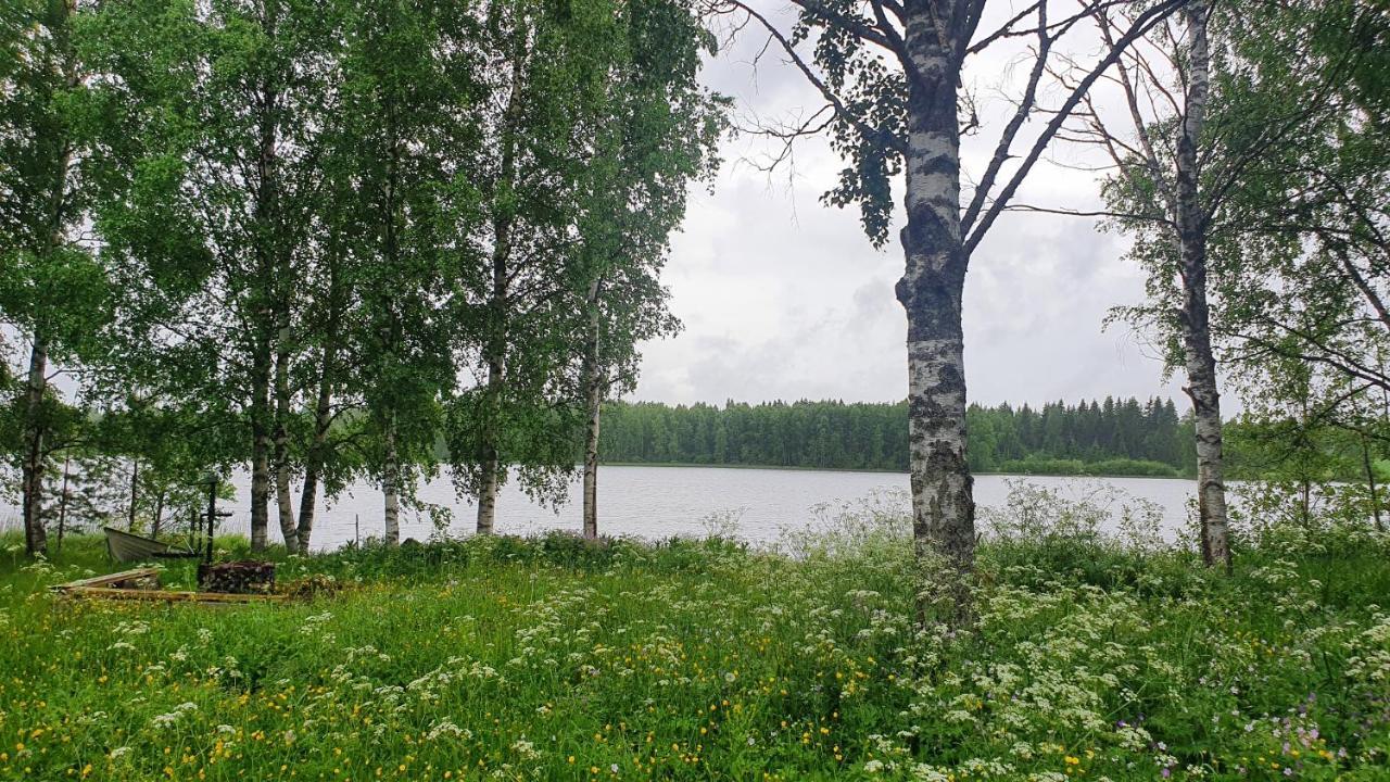Viihtyisae Kolmio Jaerven Rannalla Haapavesi エクステリア 写真
